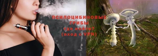 гашик Алексин