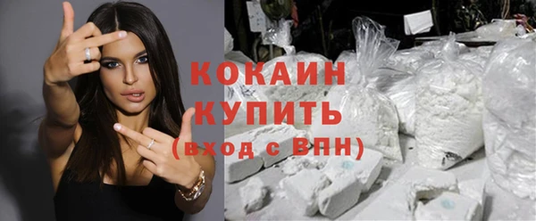 гашик Алексин