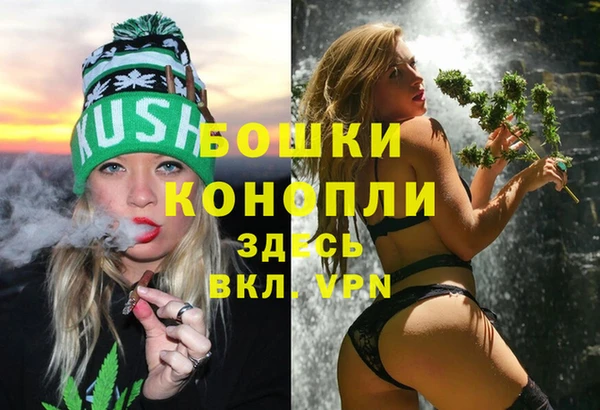 дживик Алзамай
