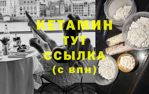 гашик Алексин