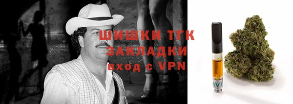 гашик Алексин