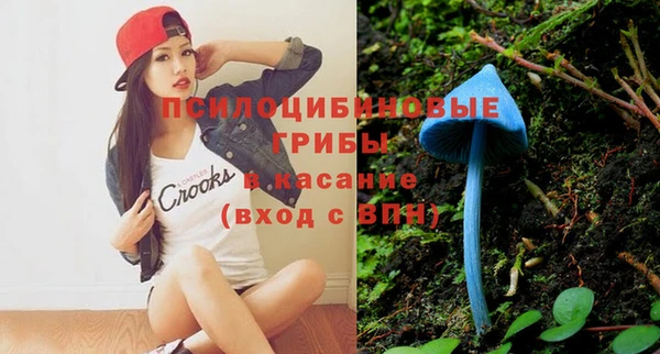 дживик Алзамай