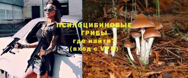 гашик Алексин