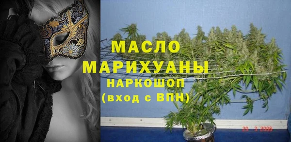 гашик Алексин