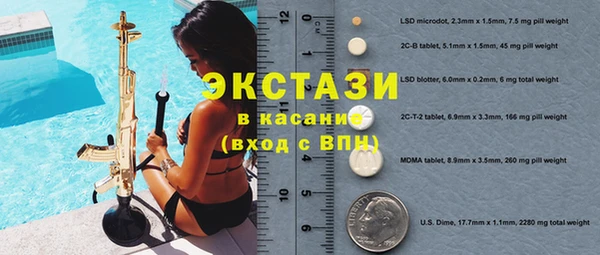 гашик Алексин