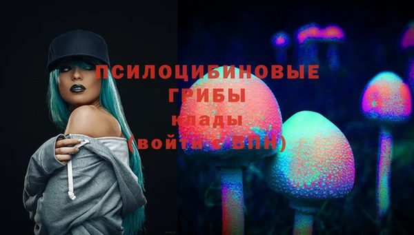гашик Алексин