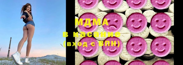 гашик Алексин