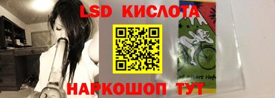 СК Владикавказ