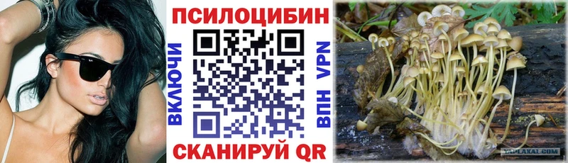 Псилоцибиновые грибы ЛСД  блэк спрут как войти  Невинномысск 