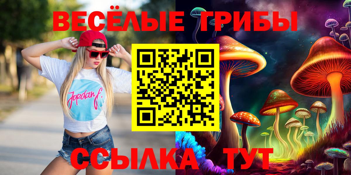 Псилоцибиновые грибы Psilocybine cubensis Невинномысск