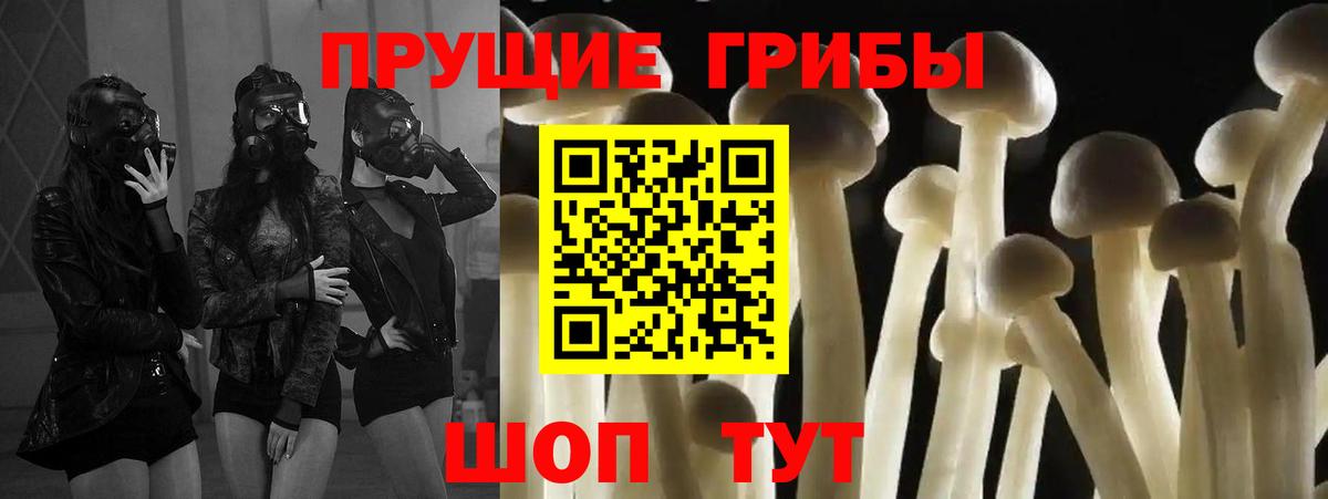 Невинномысск  даркнет сайт  Вход с VPN  Галлюциногенные грибы прущие грибы 